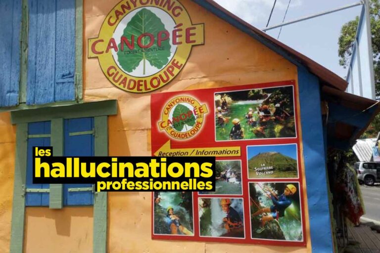 Canopée Guadeloupe, 10 hallucinations professionnelles du prof