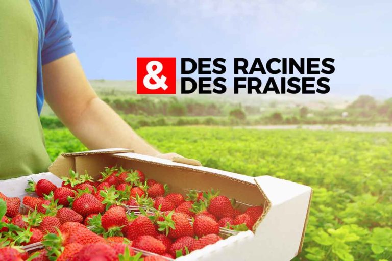 Des racines et des fraises : la télé confinée des parents et des profs