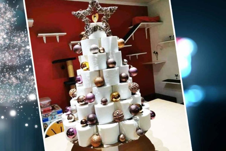 Un sapin en rouleau de papier WC : comment s’occuper pendant le prochain confinement ?