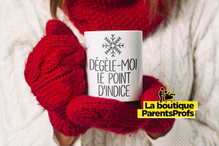 Dégèle-moi le point d’indice : C’est Noël dans la boutique ParentsProfs