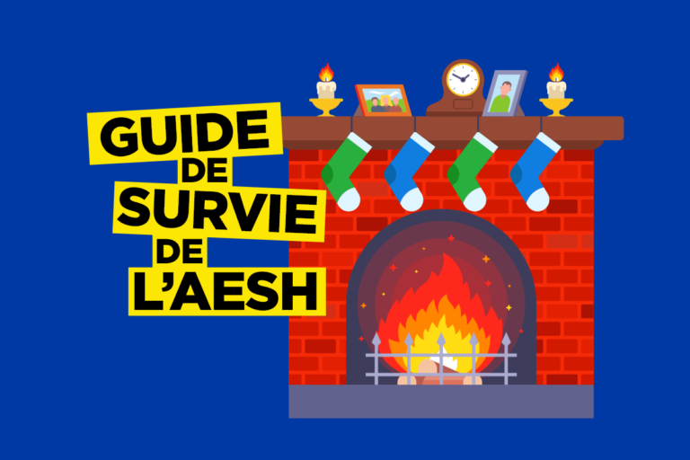 Croire au Père Noël, guide de survie pour AESH