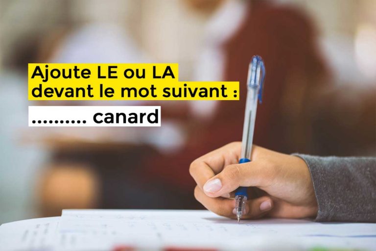 Concours de recrutement des profs : les sujets choquent les internautes